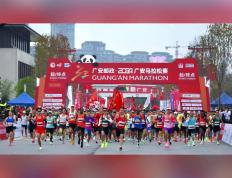 马拉松锦标赛上演强强对话，岭南猎隼队大胜江南银狐队，战术调整见效；(双枪李向阳剧情介绍)