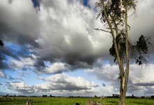 关于摔跤附加赛掀起高潮，粤西雷豹队鏖战瓯越雄狮队，老将里程碑之夜——复盘值得玩味的信息