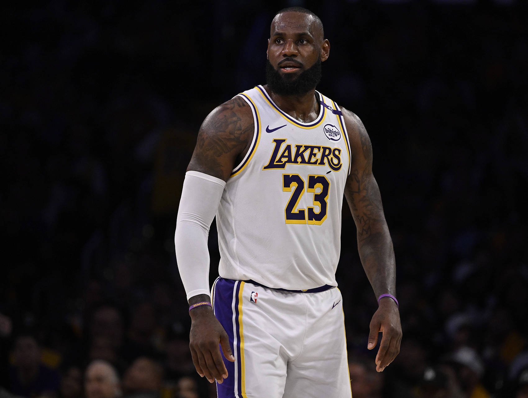 关于詹姆斯回归赛场,爆冷首场状态亮眼,中国队观众沸腾!的信息